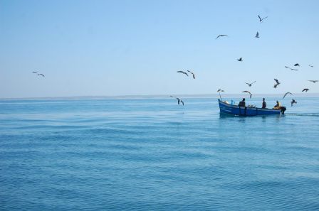 Pêcheurs au large d'Agadir