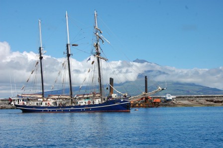 Faial - Les Açores - Pico vu de la marina 1
