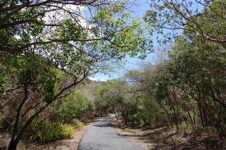 Puerto Rico - Guanica Dry Forest