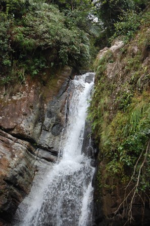 Puerto Rico - La Mina Falls 3