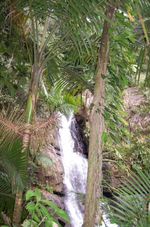 Puerto Rico - La Mina Falls 4
