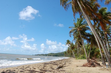 Puerto Rico - Lucia Beach