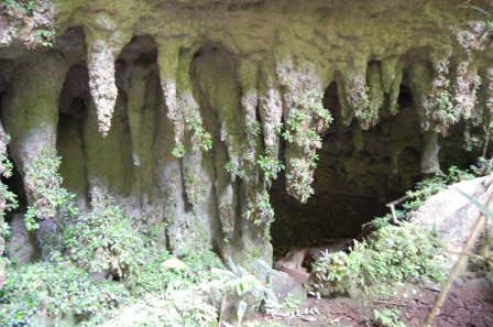 Puerto Rico - Rio Camuy Cave