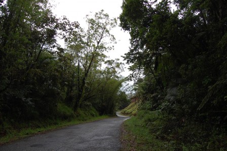 Puerto Rico - Route panoramique 2