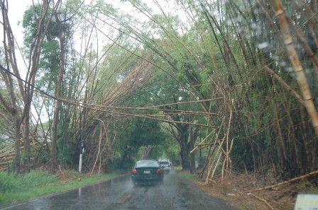 Puerto Rico - un orage