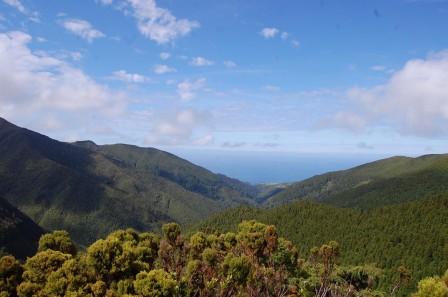 Sao Miguel - Les Açores - Serra da Tronqueira 4