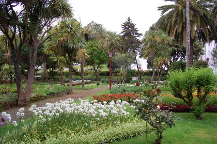 Terceira - Les Açores - Jardim Publico - Angra 1