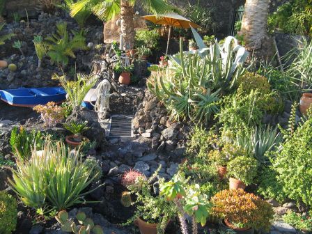 Les jardins de cactus