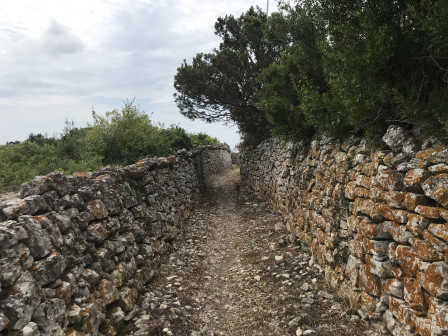 IMG_9781.jpg, juil. 2020