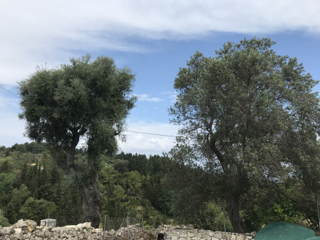 IMG_9788.jpg, juil. 2020