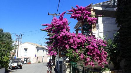 P7177736.JPG, juil. 2020