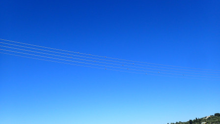 P7177773.JPG, juil. 2020